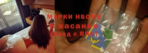 прущие грибы Алексеевка