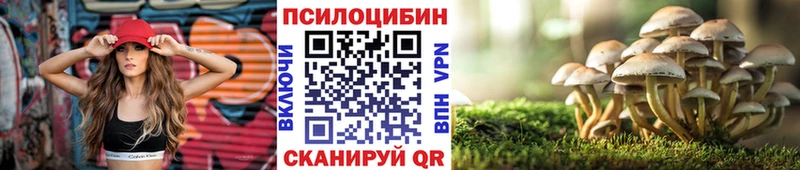 Псилоцибиновые грибы прущие грибы  hydra онион  Алупка 
