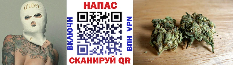Бошки Шишки планчик Алупка